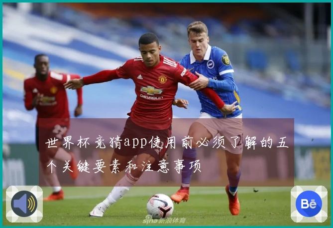 世界杯竞猜app使用前必须了解的五个关键要素和注意事项